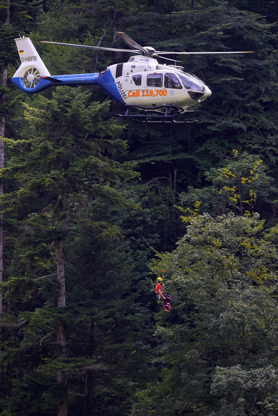 https://cms.bergwacht-bayern.de/Bergwacht-Bayern/Bilder_Artikel/Bilder_2025/Chiemgau/2025_08_25%20Absturz%20neben%20Weissbachschlucht/3070/image-thumb__3070___auto_932dddbf3d714144a3e37e9ef9ff0313/Edelweiss.88c702ef.webp